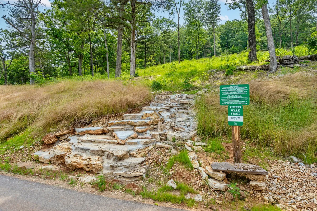A rugged, inviting trail marked by stone steps and a wooden trail sign winds through dense, green forest. The scene beckons hikers and nature lovers to explore the untouched wilderness and discover hidden wildlife among the trees.